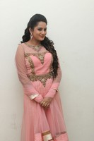 Himaja Photos at Shivam Audio Release